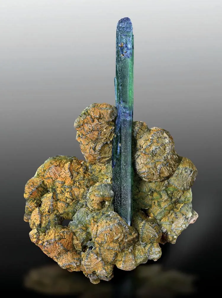 Nikischerite, Vivianite image