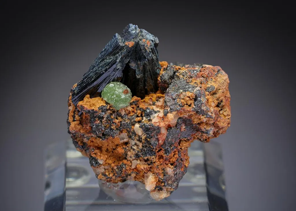NIKISCHERITE with Vivianite image