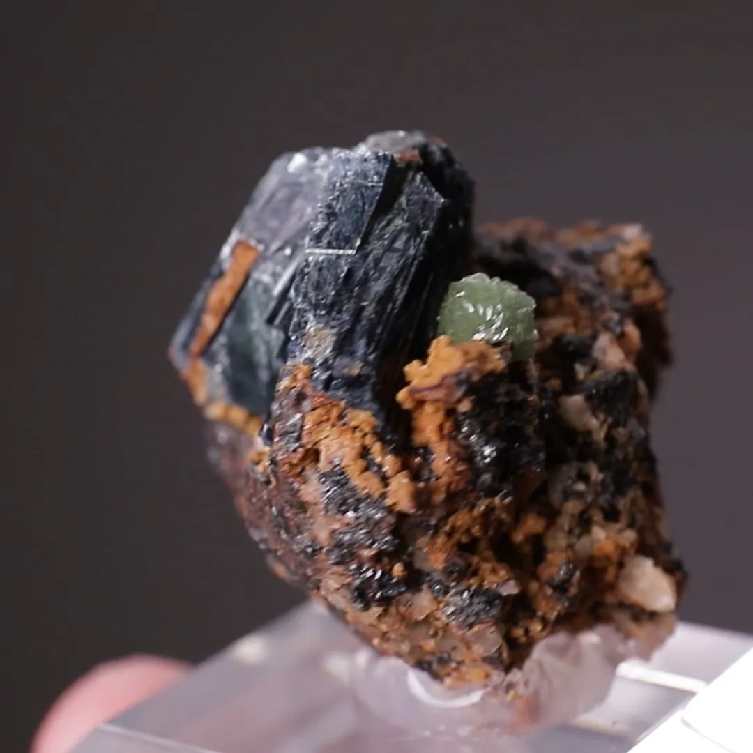 NIKISCHERITE with Vivianite - image 2