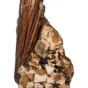 Niobophyllite on Quartz with Feldspar - image 4