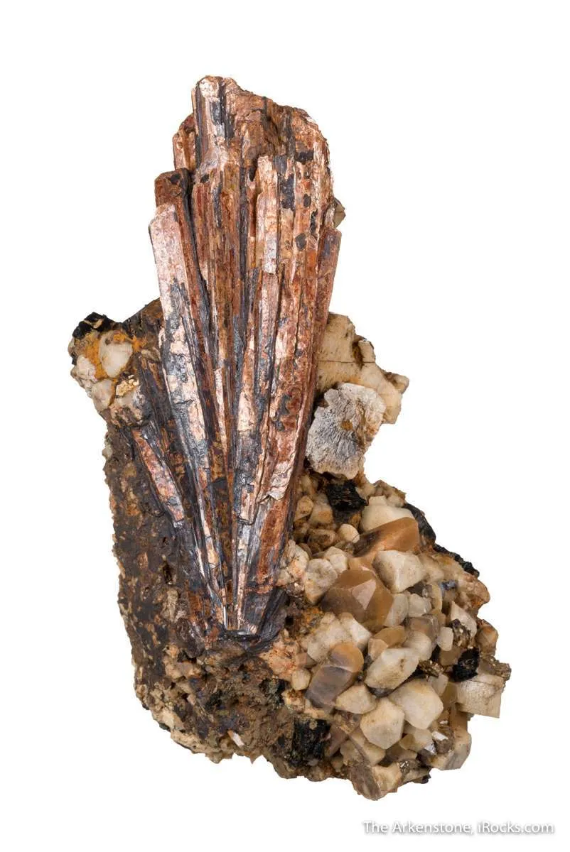 Niobophyllite on Quartz with Feldspar - image 2