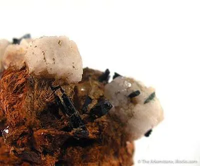 Niobophyllite With Feldspar, Aegirine - image 2