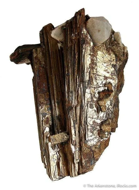 Niobophyllite With Zircon - image 1