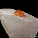 Norbergite (fluor.) in Calcite - image 5