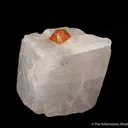 Norbergite (fluor.) in Calcite - image 3