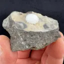 Okenite - image 2
