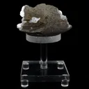 Okenite Balls on MM Quartz Natural Mineral Specimen - image 5