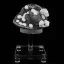 Okenite Balls on MM Quartz Natural Mineral Specimen - image 1