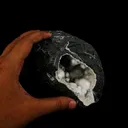Okenite Big Puffballs Inside Chalcedony Geode Natural Mineral Specimen - image 5