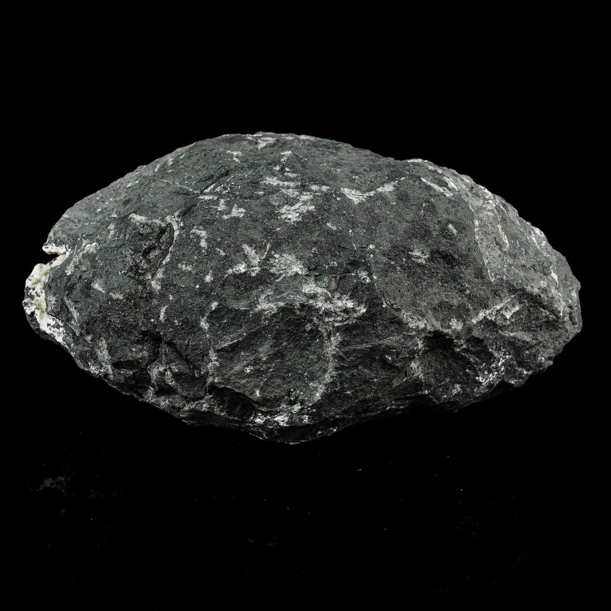 Okenite Big Puffballs Inside Chalcedony Geode Natural Mineral Specimen - image 4