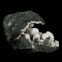 Okenite Big Puffballs Inside Geode Natural Mineral Specimen - image 4