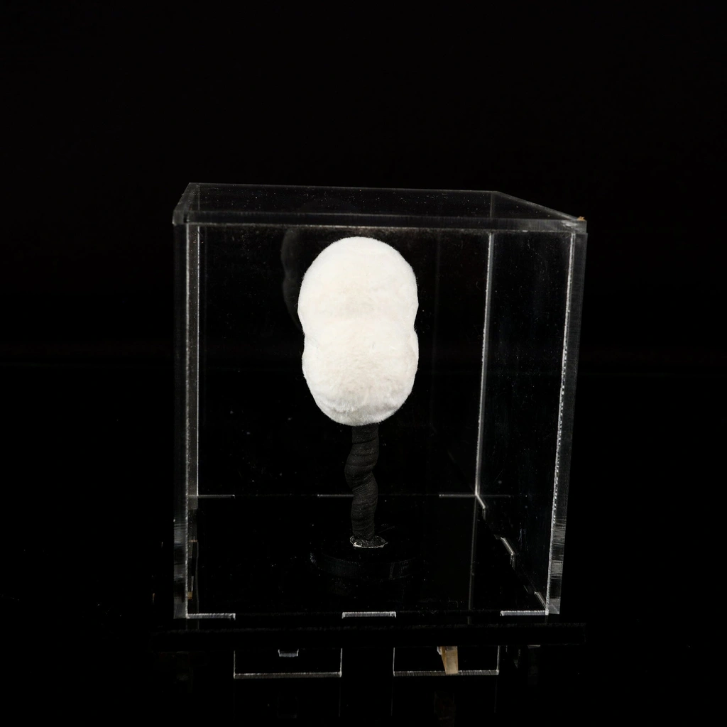 Okenite Big Puffballs Natural Mineral Specimen - image 6