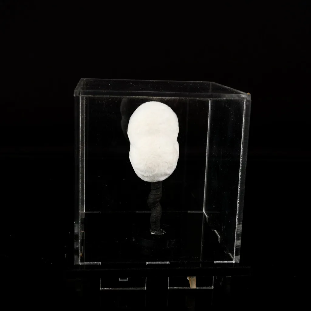 Okenite Big Puffballs Natural Mineral Specimen - image 6