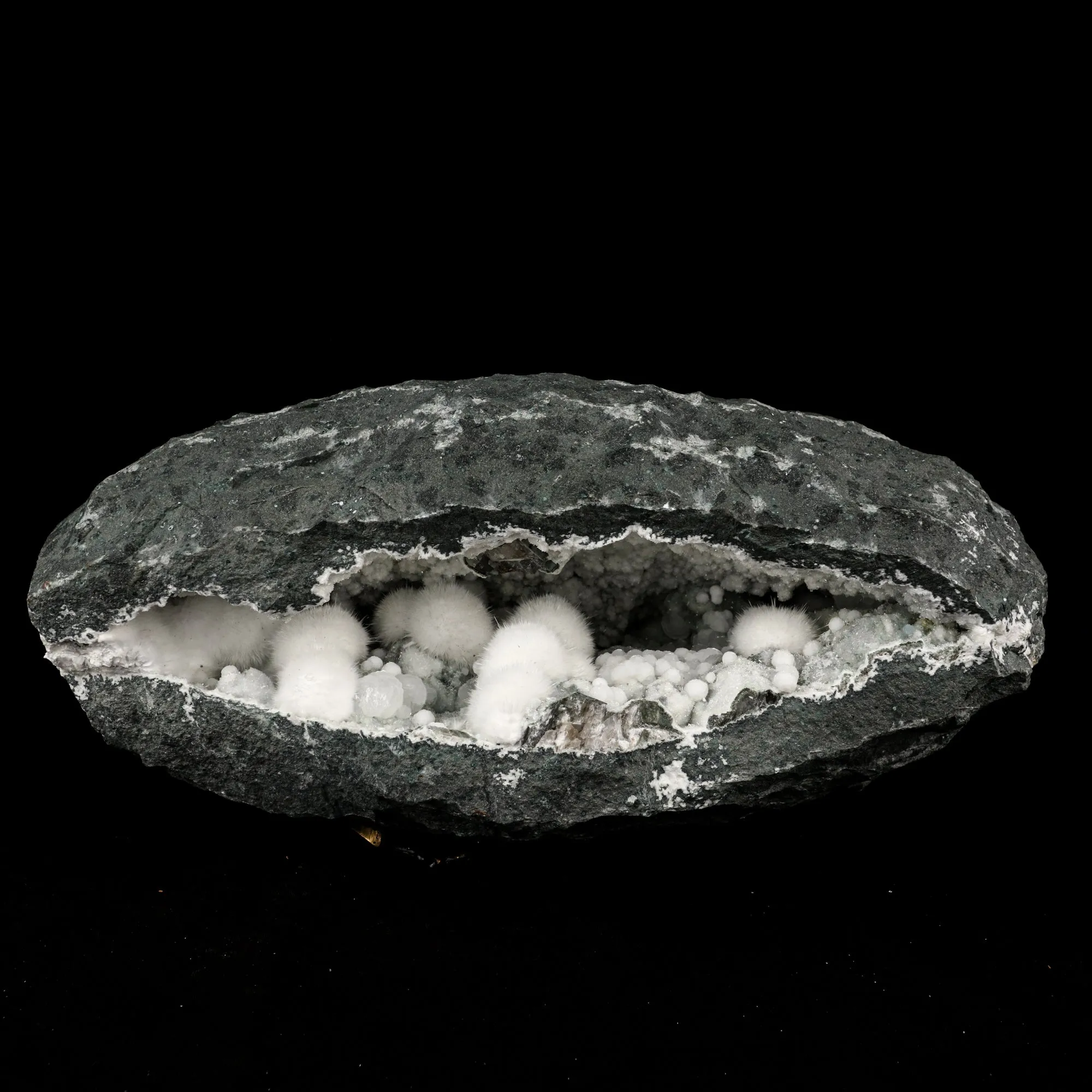 Okenite Big Puffballs with Gyrolite in Geode Natural Mineral Specimen - image 1