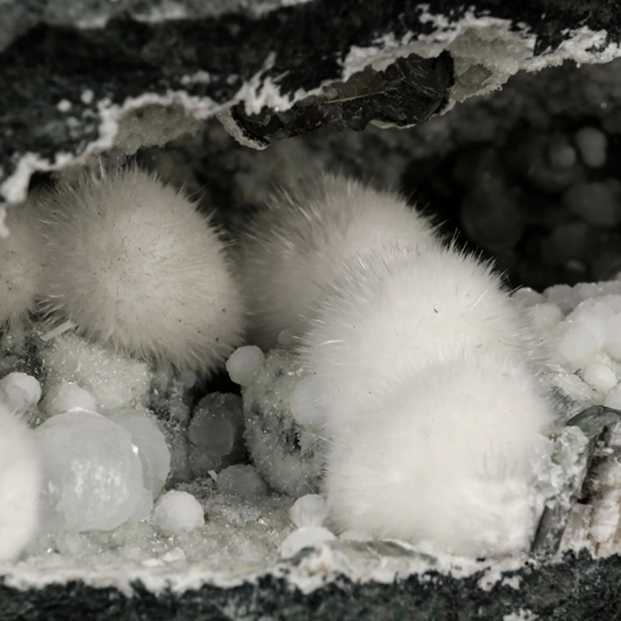 Okenite Big Puffballs with Gyrolite in Geode Natural Mineral Specimen - image 5
