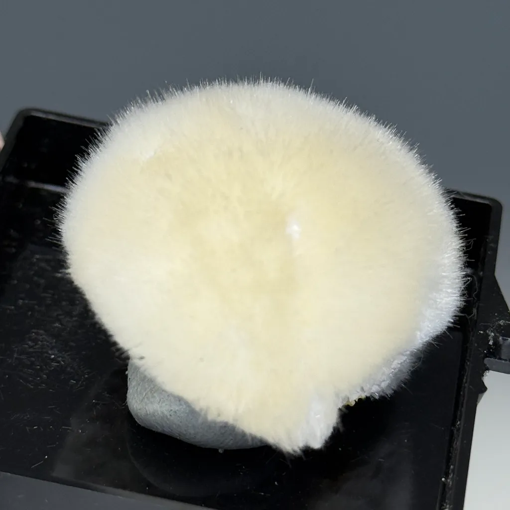 Okenite - image 2