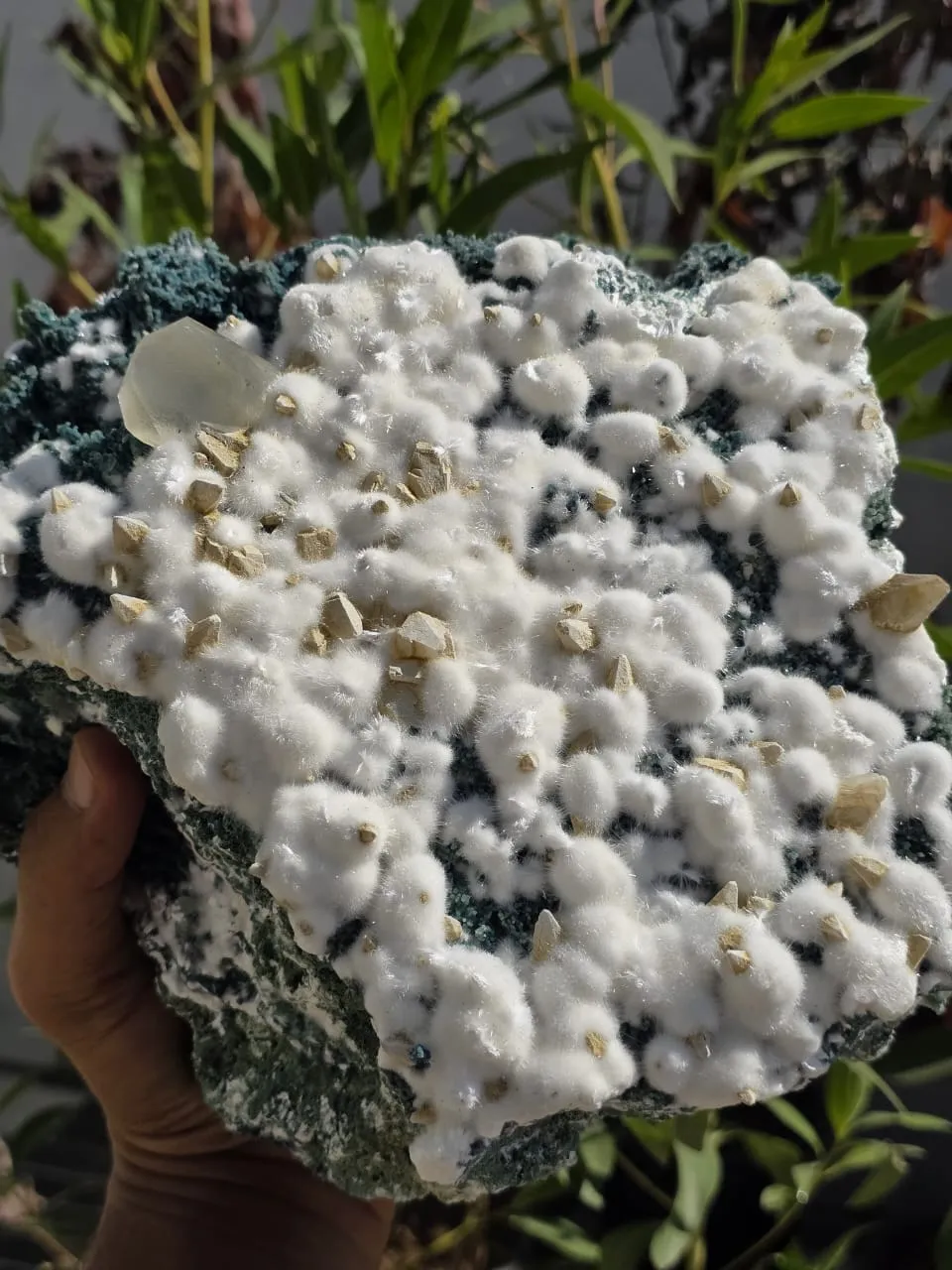 Okenite from India, Maharashtra, Nashik Division, Jalgaon District - image 2