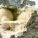 Okenite from India, Maharashtra, Pune Division, Pune District - image 4