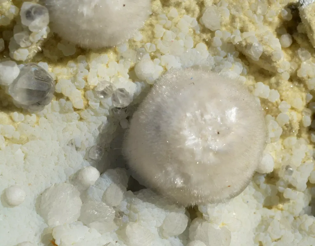 Okenite Prehnite Gyrolite 9340 grams - Malad Quarry Mumbai Maharashtra, India - image 4