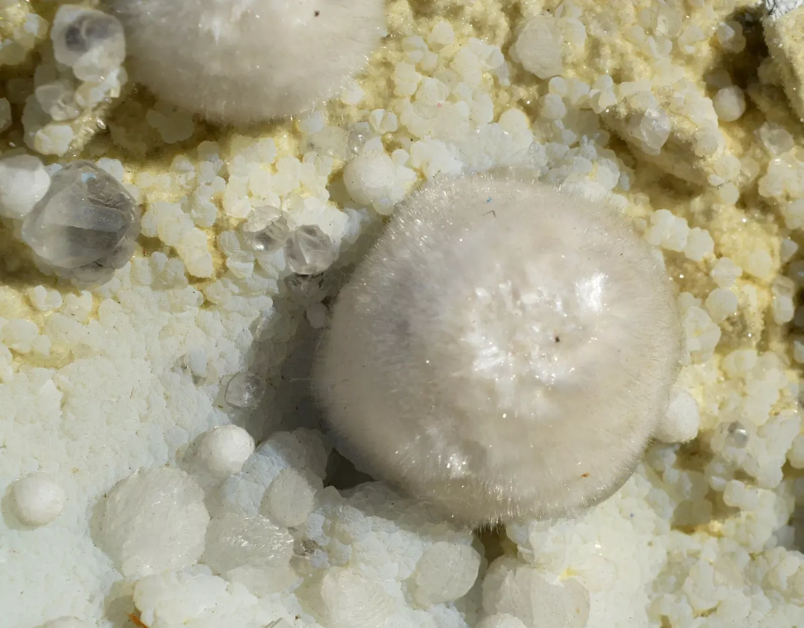 Okenite Prehnite Gyrolite 9340 grams - Malad Quarry Mumbai Maharashtra, India - image 4