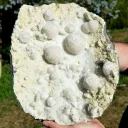 Okenite Prehnite Gyrolite 9340 grams - Malad Quarry Mumbai Maharashtra, India - image 1