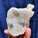 Okenite Tree 🌲 in Calcite. Phantom Calcite, - image 5