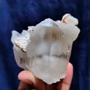Okenite Tree 🌲 in Calcite. Phantom Calcite, - image 2