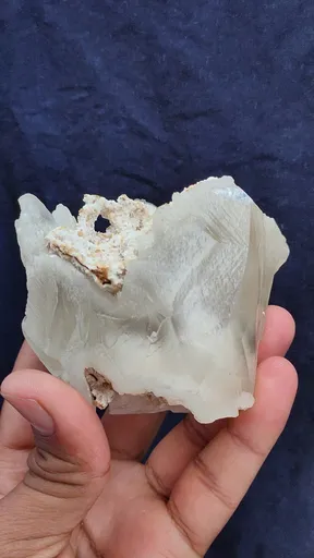 specimen video