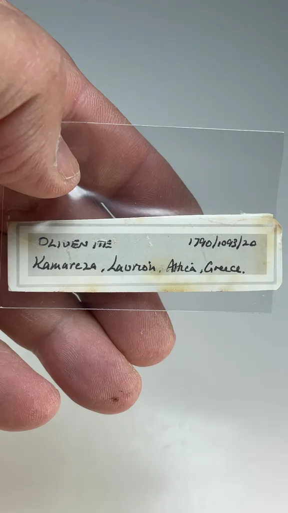 Olivenite - image 2