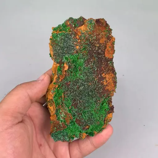 specimen video