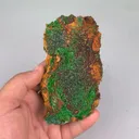 specimen video