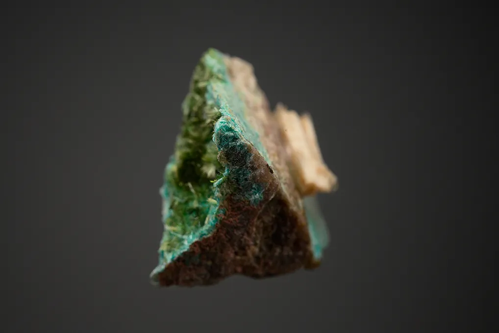 Olivenite on Ajoite - image 4