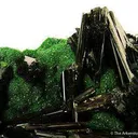 Olivenite on Duftite - image 3
