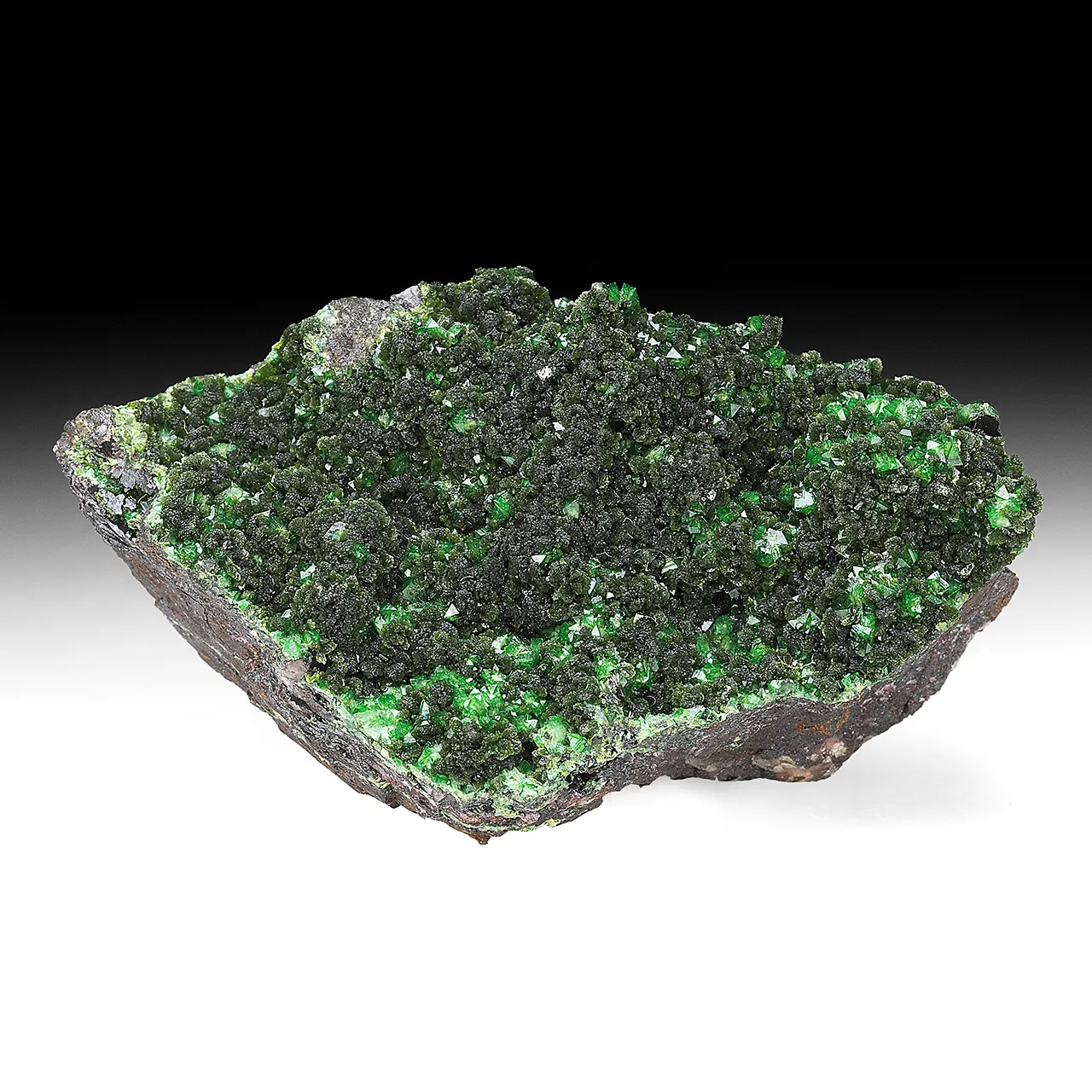 Olivenite with Adamite, Quartz - image 1