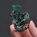 Olivenite with CORNWALLITE - image 2