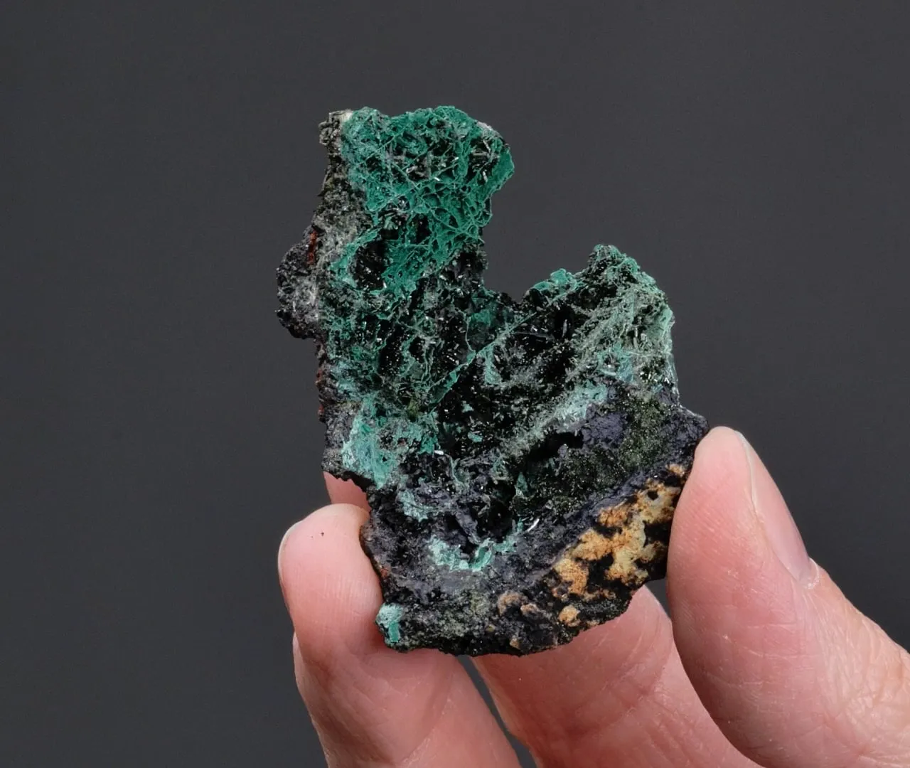Olivenite with CORNWALLITE - image 2
