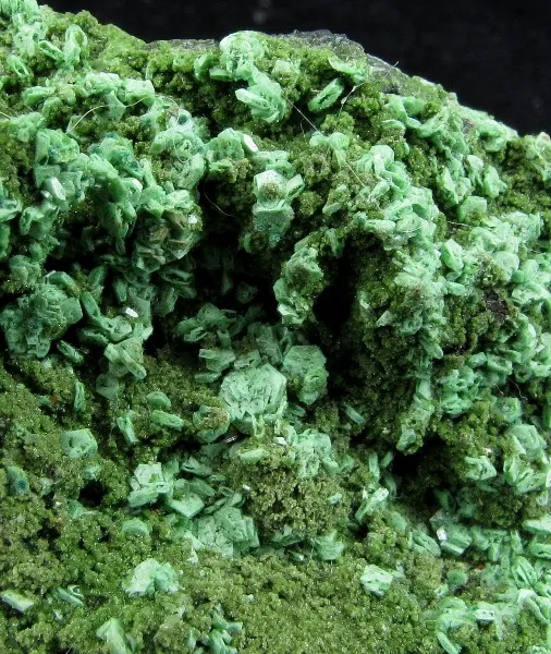 Olivenite (Zn-Rich) and Mottramite on Cuprite - image 1