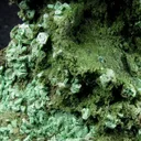 Olivenite (Zn-Rich) and Mottramite on Cuprite - image 4