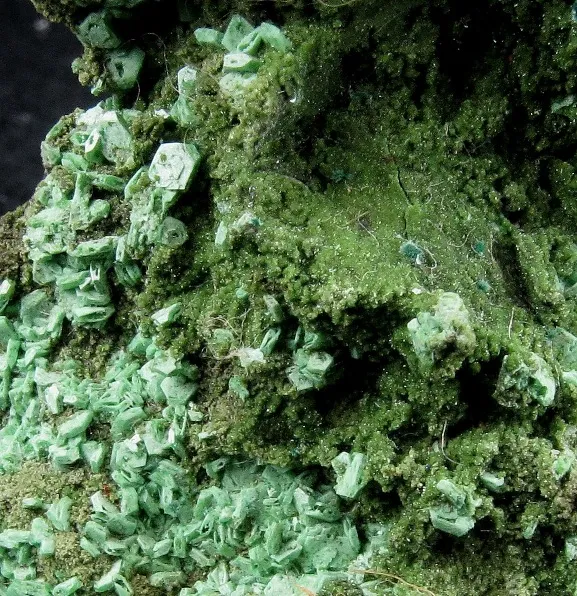 Olivenite (Zn-Rich) and Mottramite on Cuprite - image 4