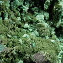 Olivenite (Zn-Rich) and Mottramite on Cuprite - image 3