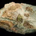 Olivine - image 1