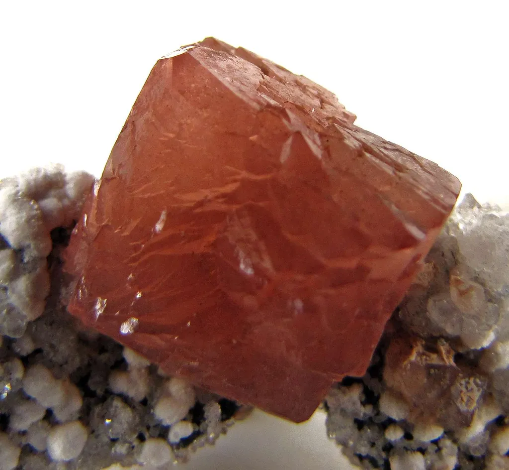 Olmiite - image 3