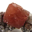 Olmiite - image 3
