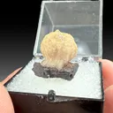 Olmiite (10126) - image 1