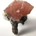 Olmiite - image 1