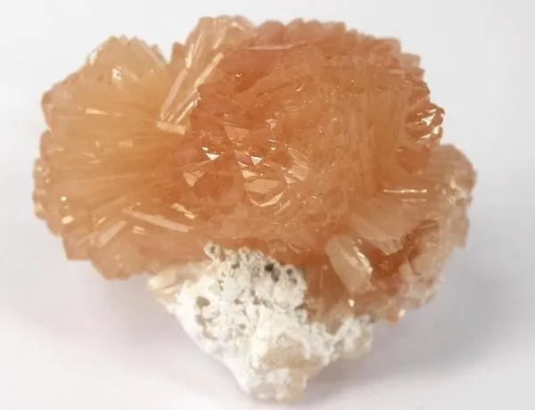 Olmiite image