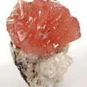 Olmiite - image 1