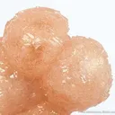 Olmiite - image 2