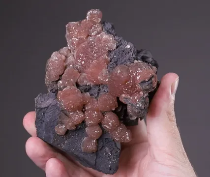 Olmiite