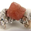Olmiite - image 2